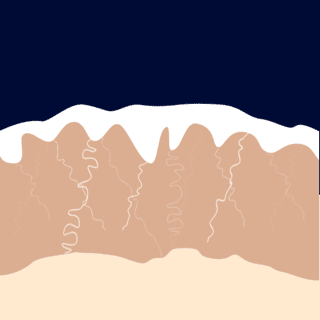 Controllo del risultato estetico image